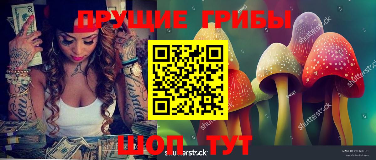 Майкоп  купить наркотик  Вход с VPN  Псилоцибиновые грибы Psilocybine cubensis  Галлюциногенные грибы мицелий 