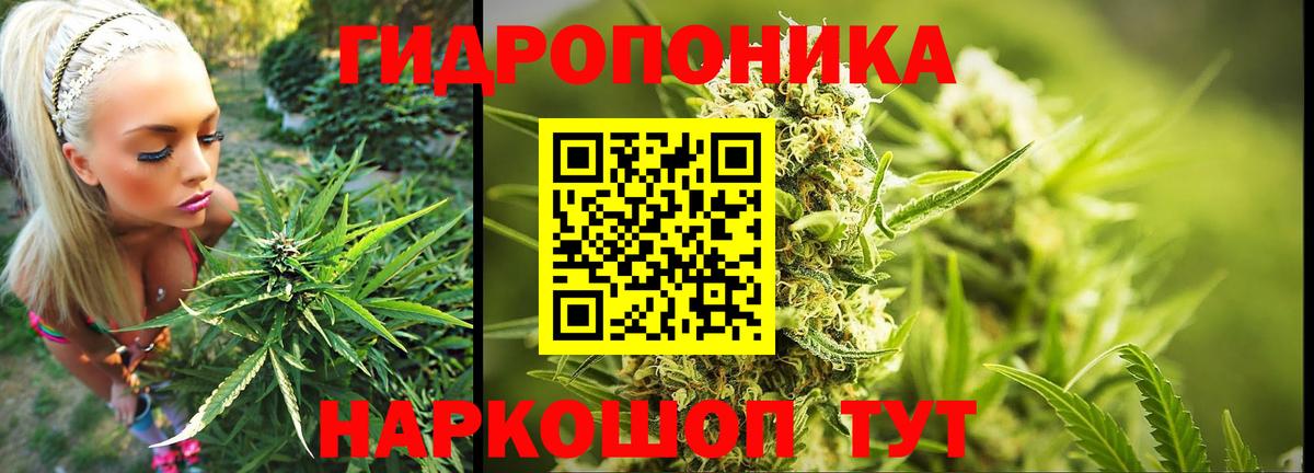 Марихуана ГИДРОПОН  Бошки марихуана план  Бошки Шишки марихуана  Вход с VPN  МАРИХУАНА MAZAR  Майкоп 